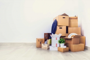 Moving Services