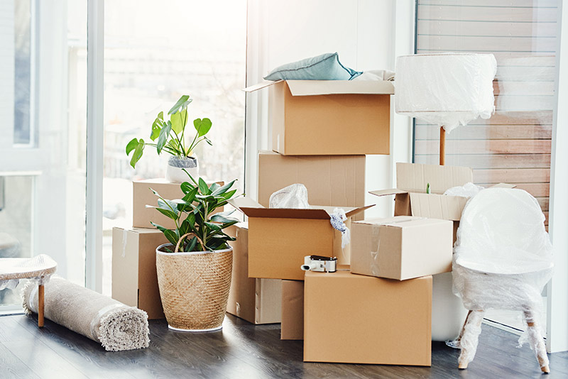 moving boxes on moving day