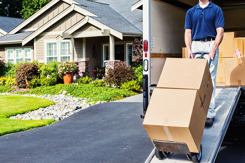 moving services sorted out organizing