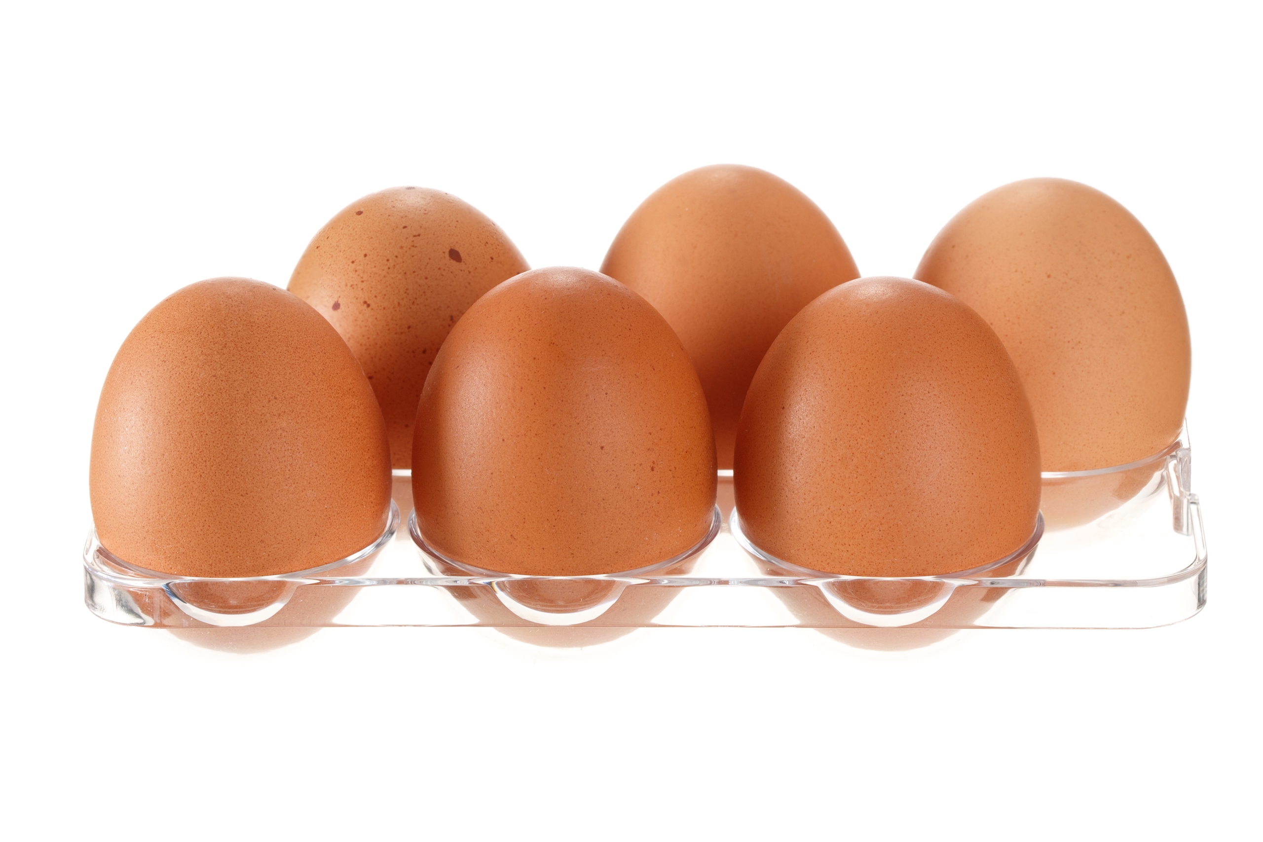 Clear-egg-tray-organization Clear-egg-tray-organization