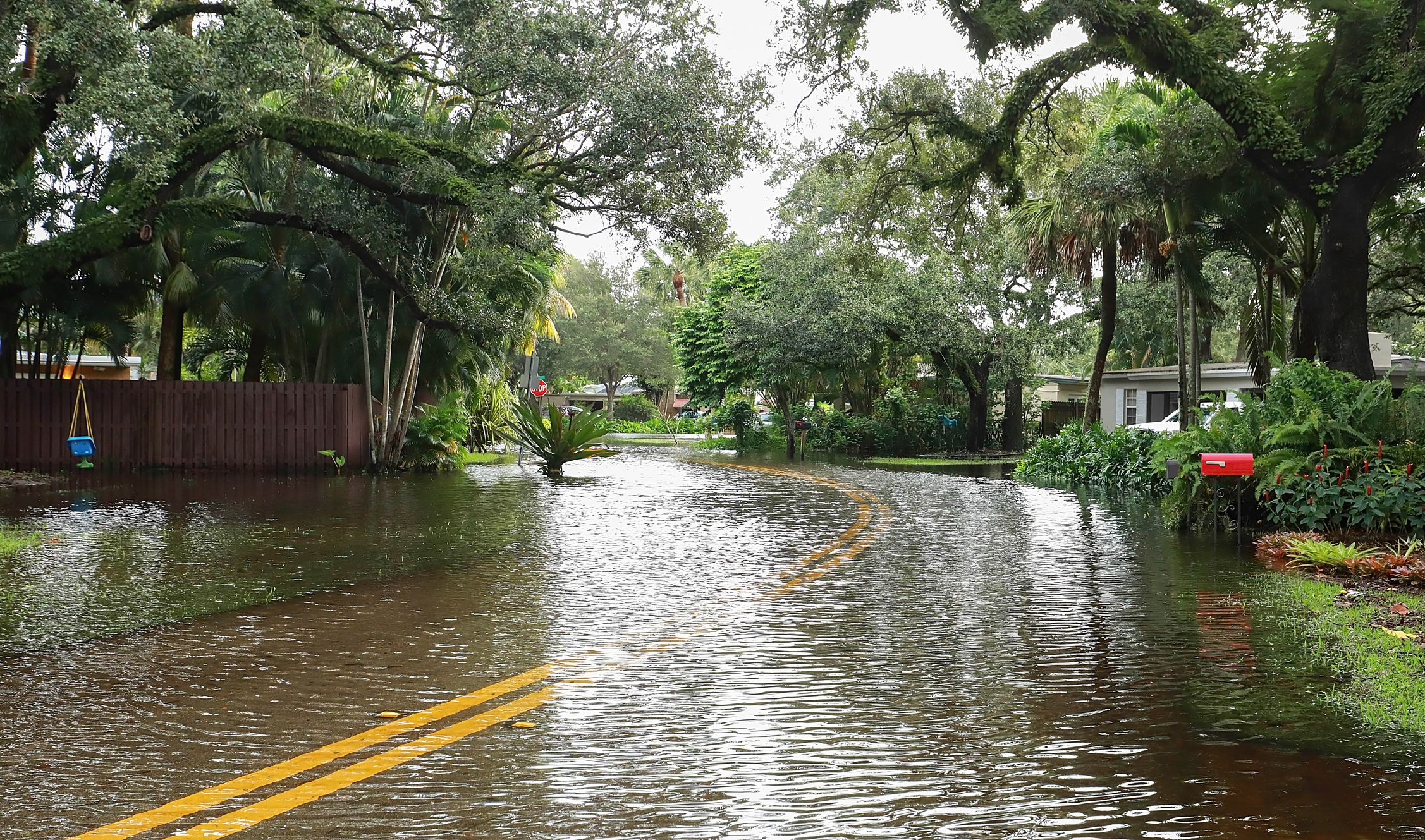 Sorted-Out-Natural-Disaster-Flood-Zones