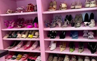 Shoe closet