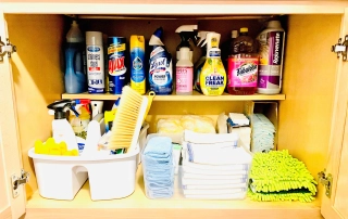 Callie Cleaning Cabinet After July 2025
