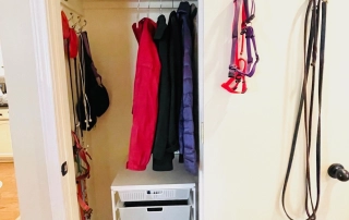 Callie Pet Closet May 2025