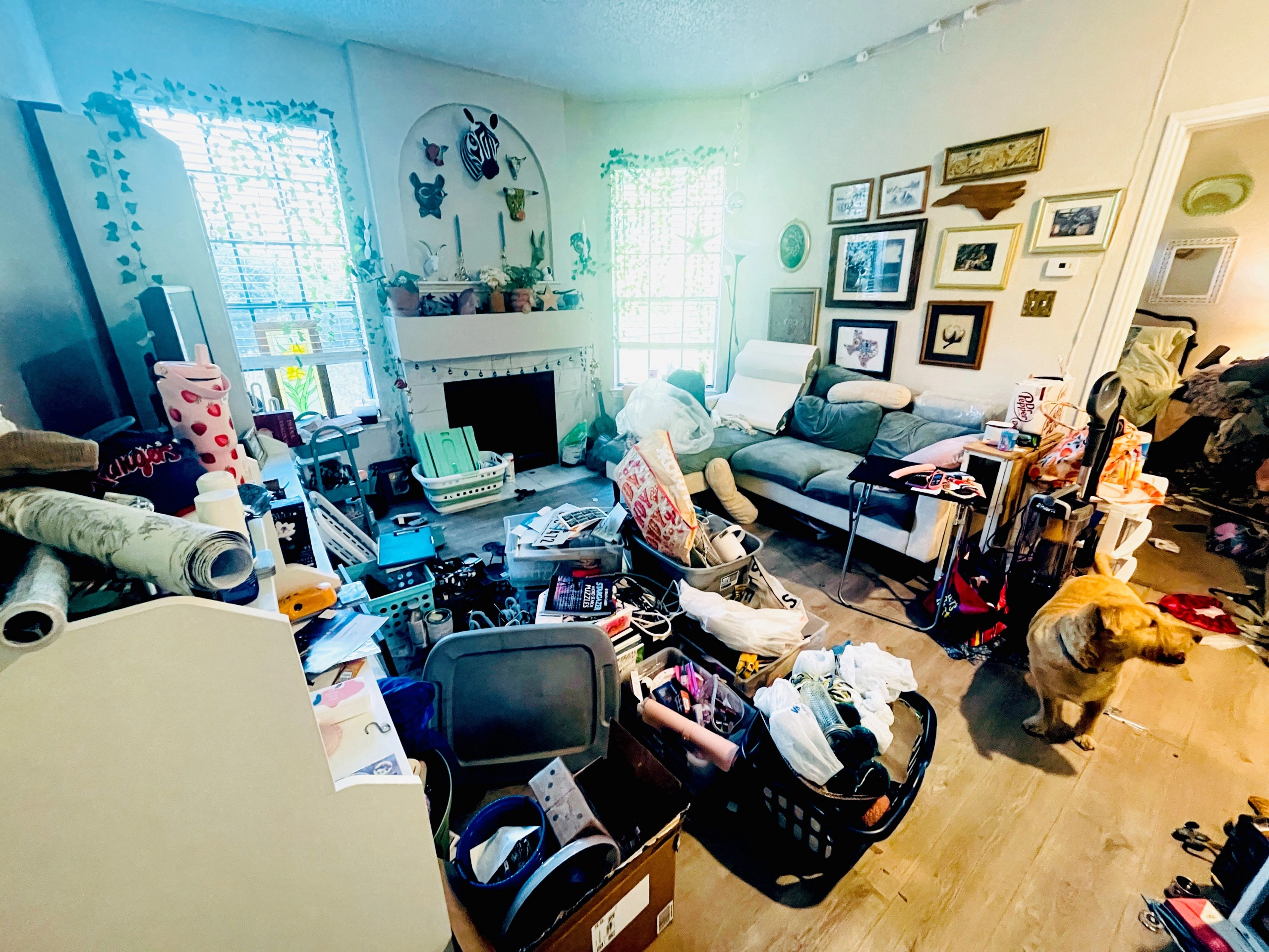 Living Room Organizing Gallery 7 BEFORE