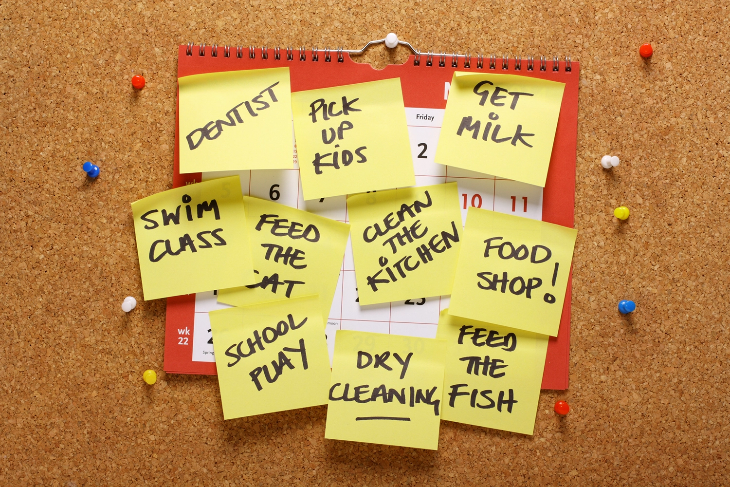 How to Live with Someone Who Has ADHD – When You Do Not Blog