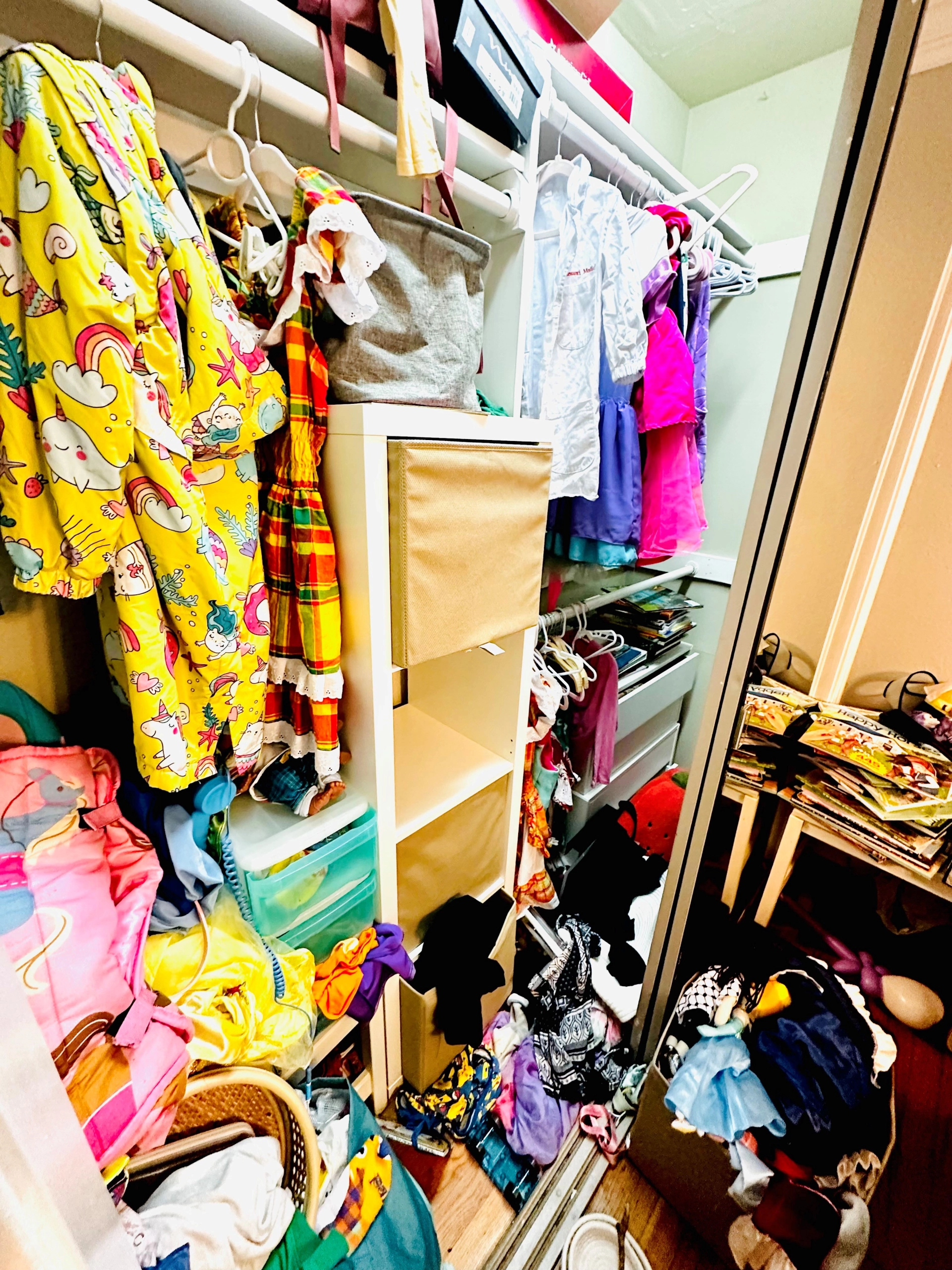 Closet Organizing Gallery 17 BEFORE