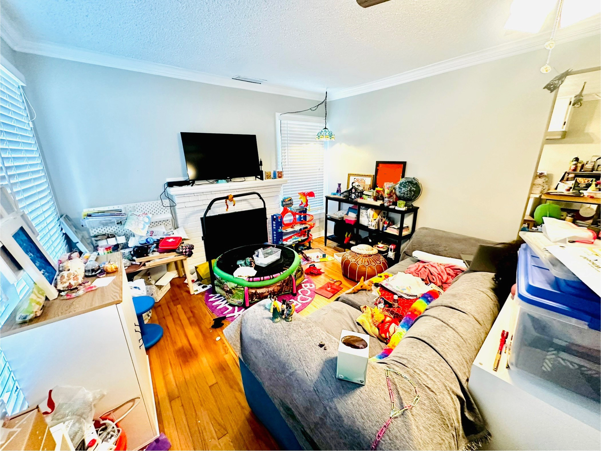 Living Room Organizing Gallery 9 BEFORE