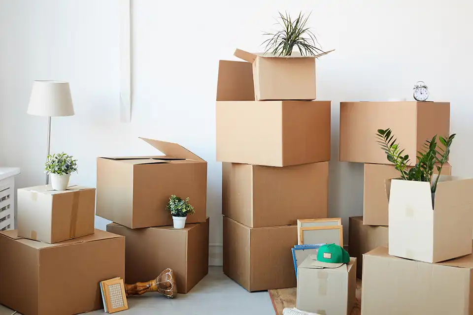 Move Into Your New Home Without the Chaos get organized in Frisco